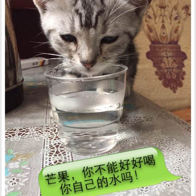 买个假的计算等级证书